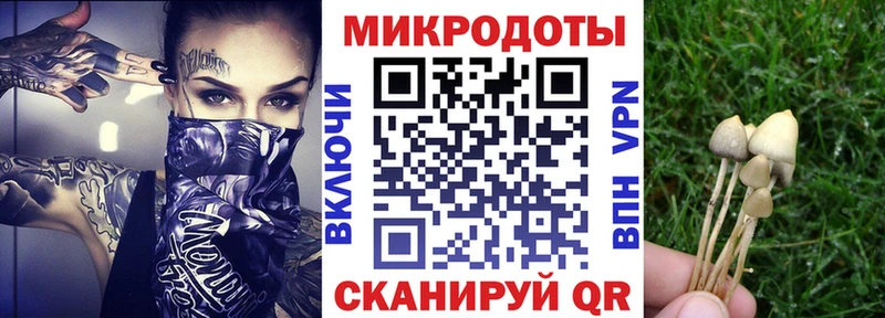 Псилоцибиновые грибы MAGIC MUSHROOMS  Курильск 
